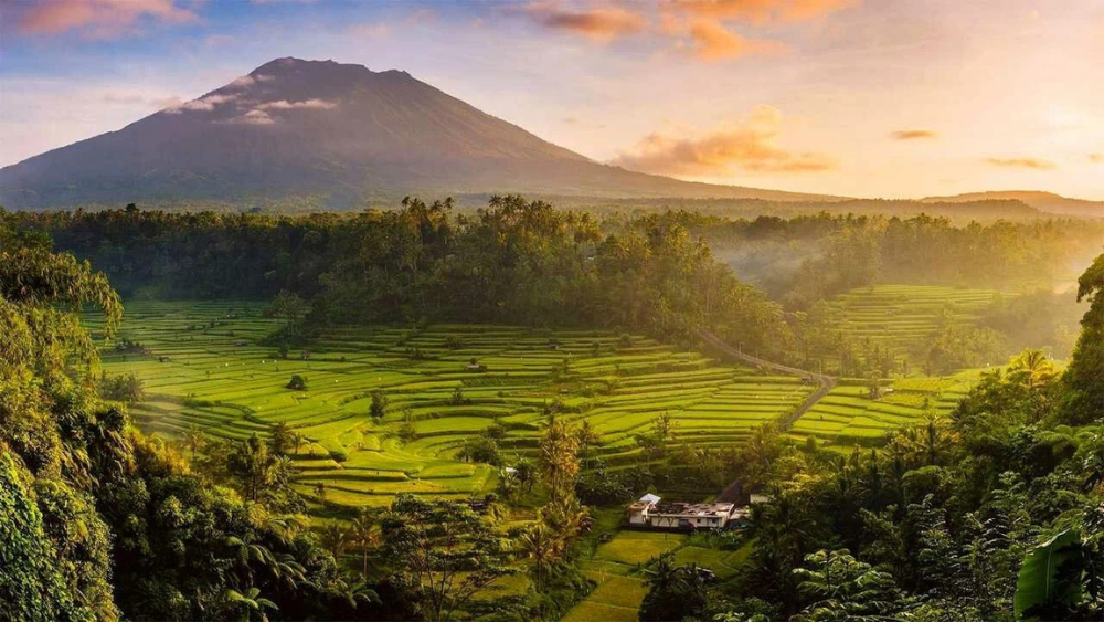 Best Time to Visit Indonesia