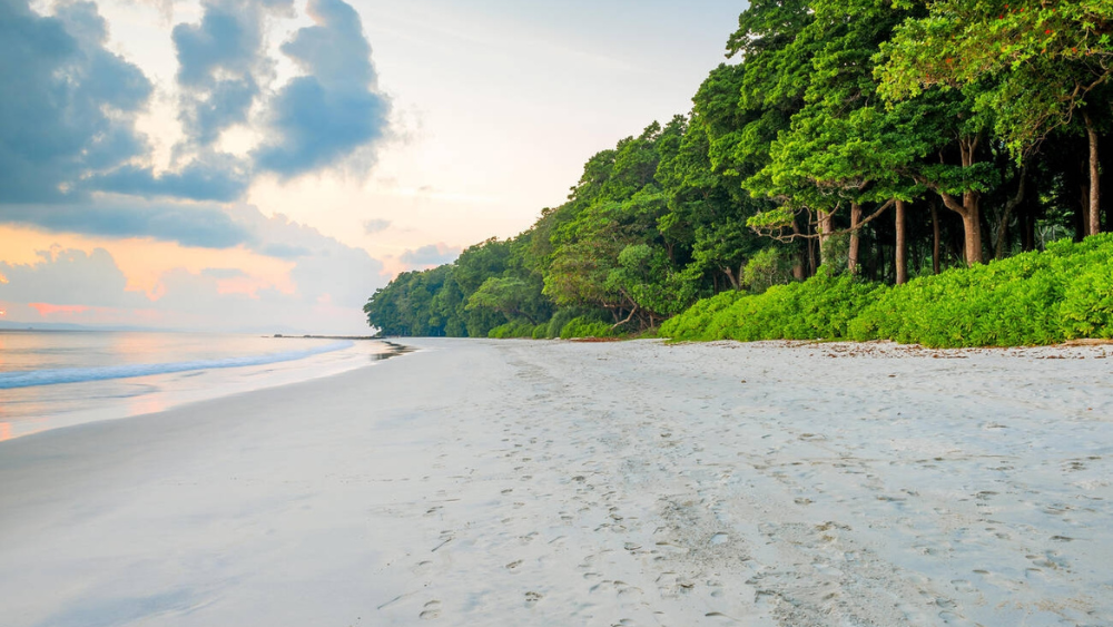 Radhanagar Beach